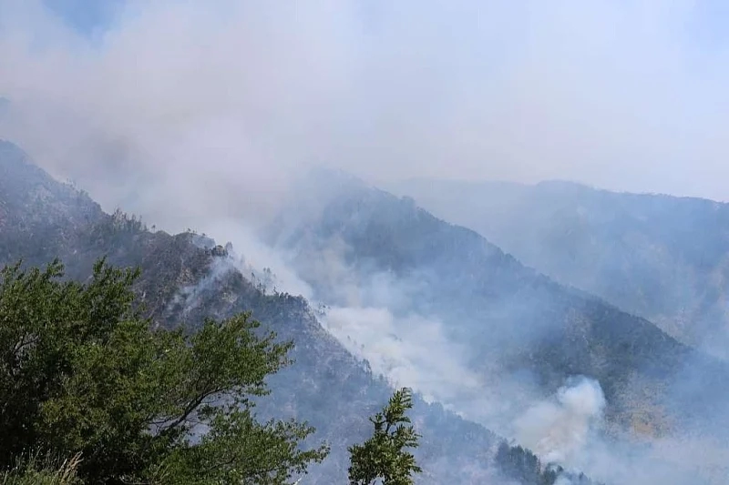Borba s vatrenom stihijom kod Jajca: Zbog minskog polja OS BiH ne mogu gasiti požar, mještani i vatrogasci brane domove